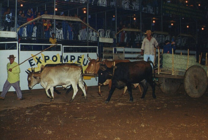 Expompéu