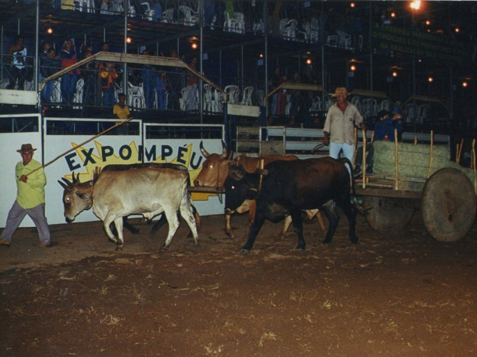 Expompéu